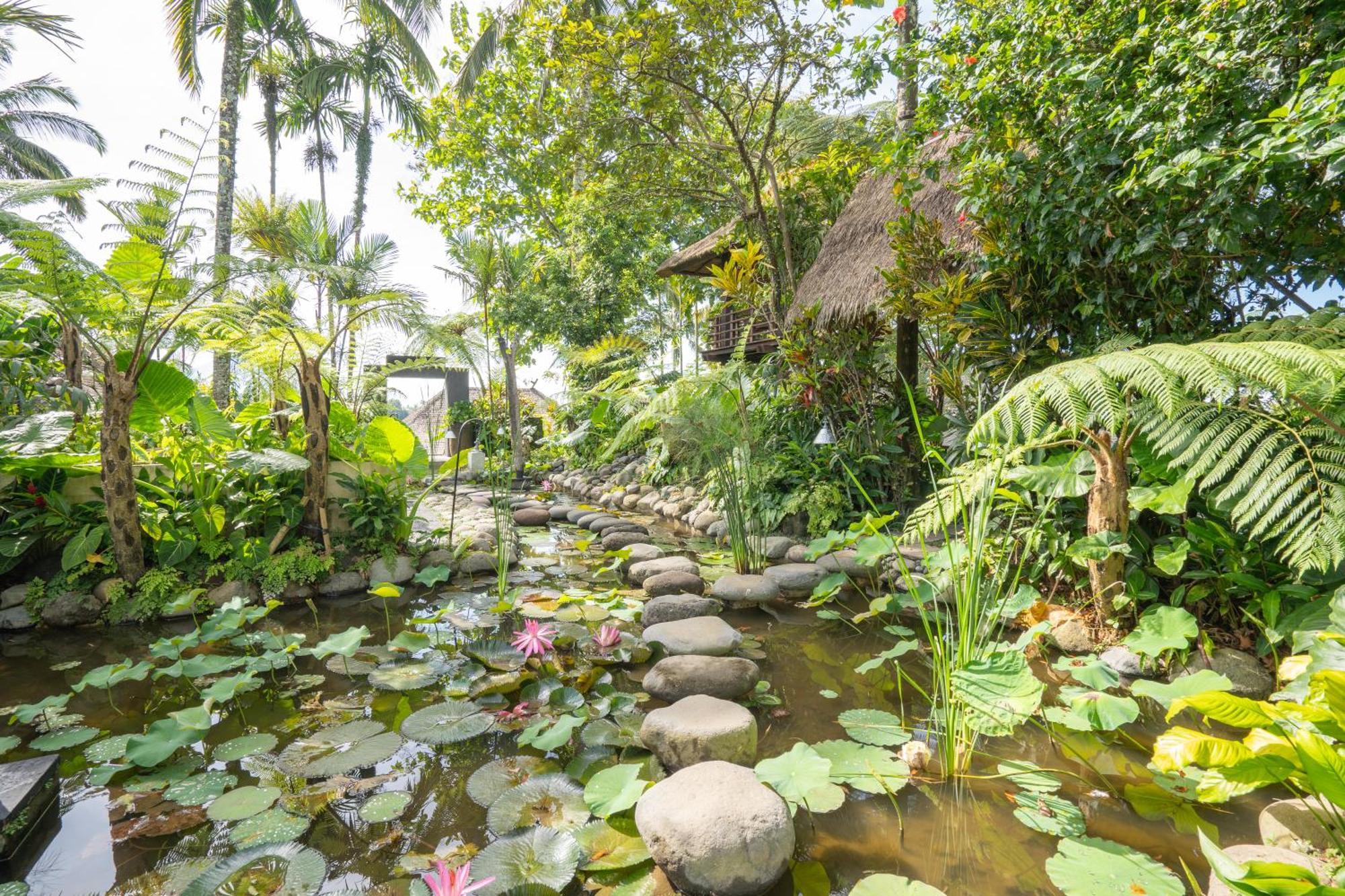 Awan Putih Resort ปายางัน ภายนอก รูปภาพ