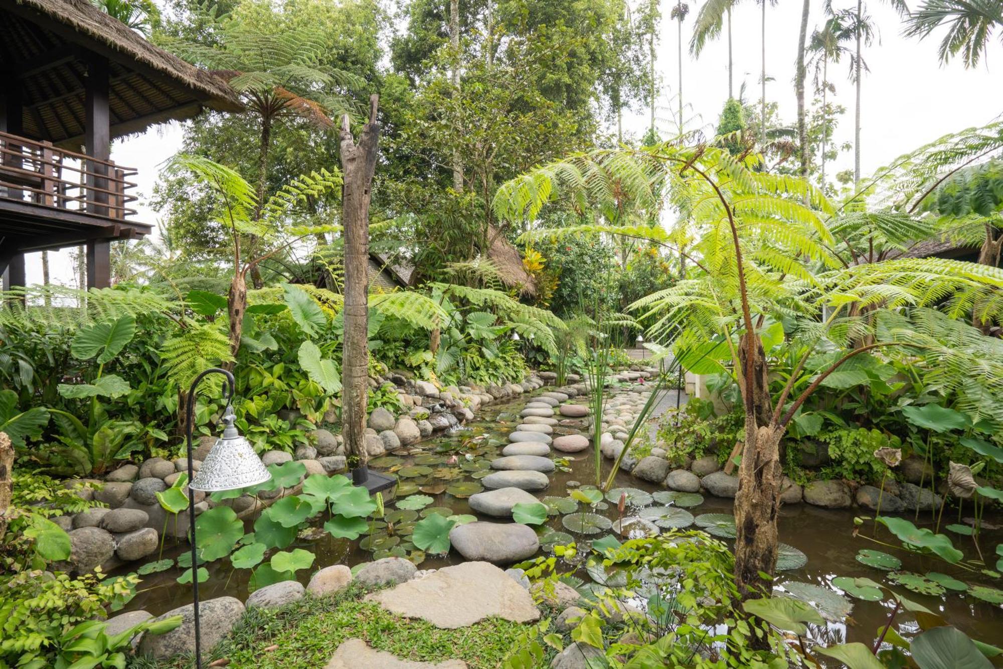 Awan Putih Resort ปายางัน ภายนอก รูปภาพ
