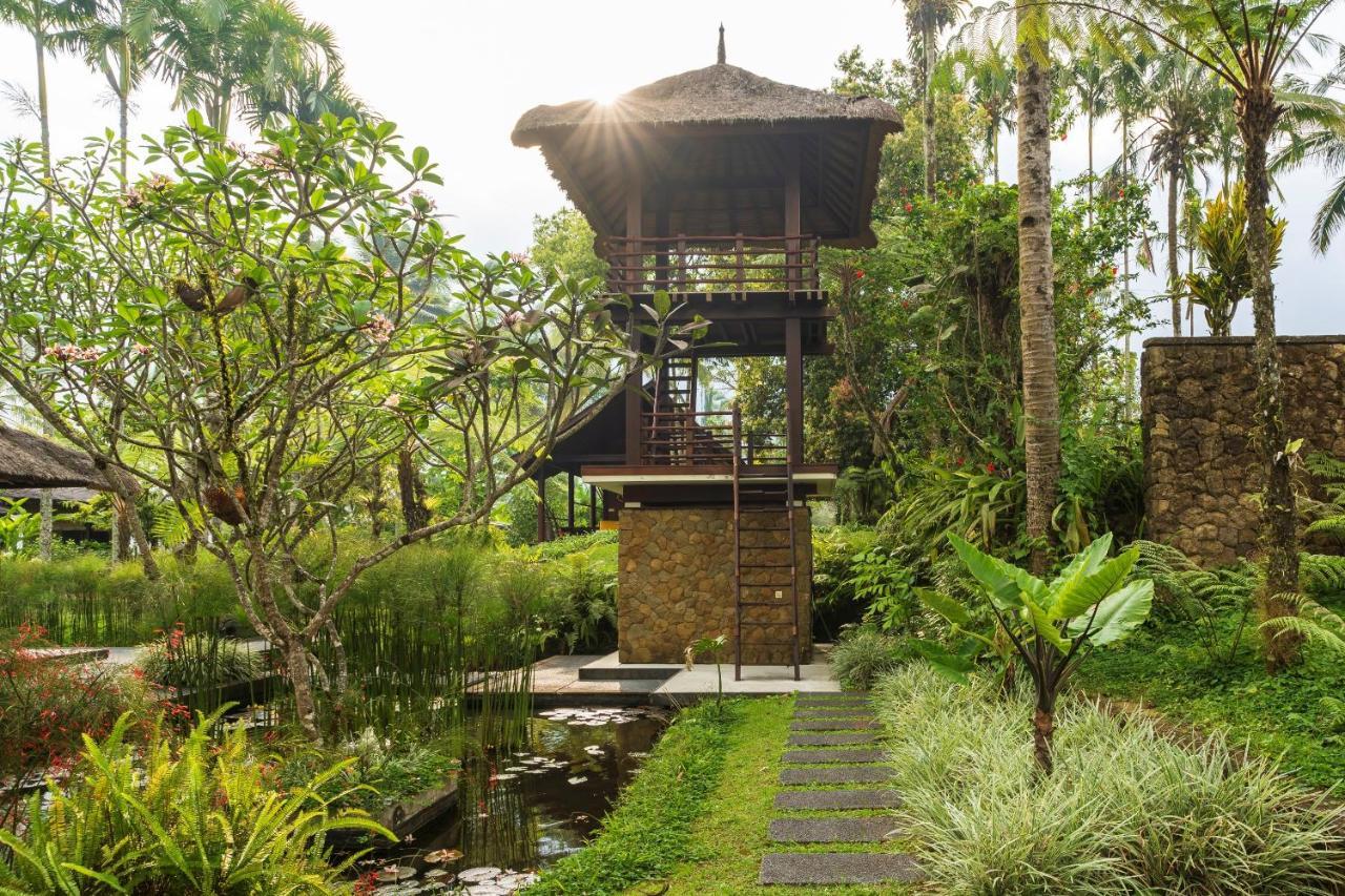Awan Putih Resort ปายางัน ภายนอก รูปภาพ